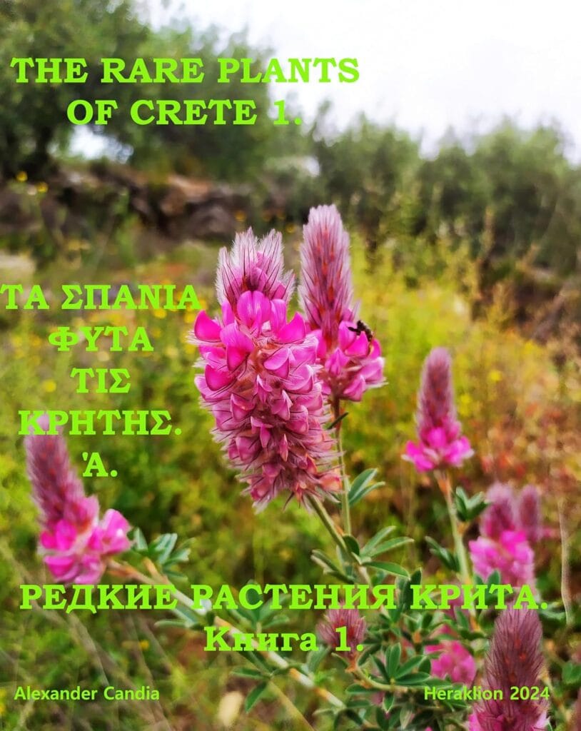plant book cover