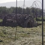 Ligortina