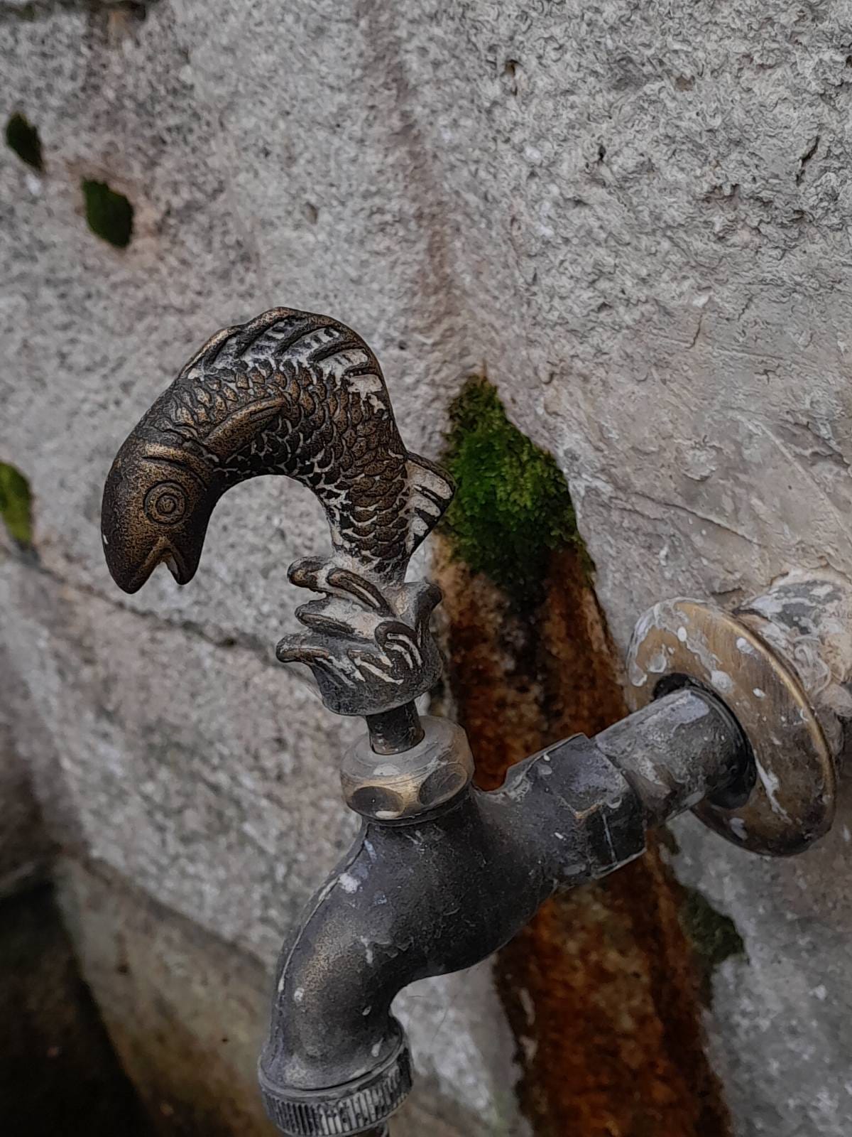 a fish handle