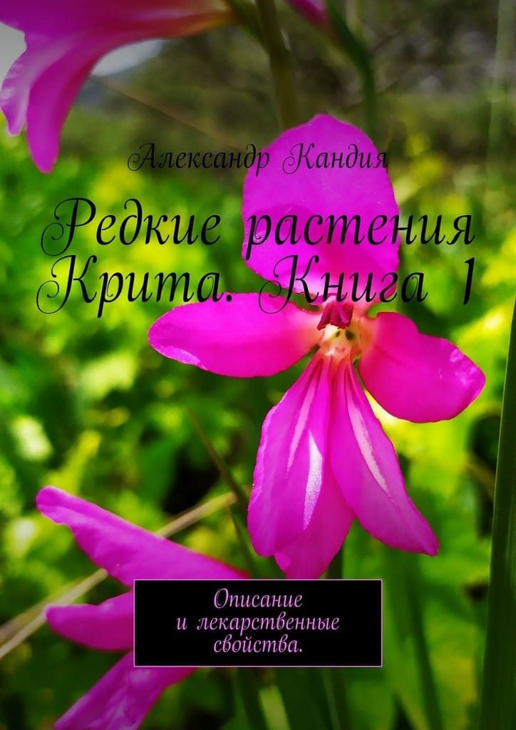 book1