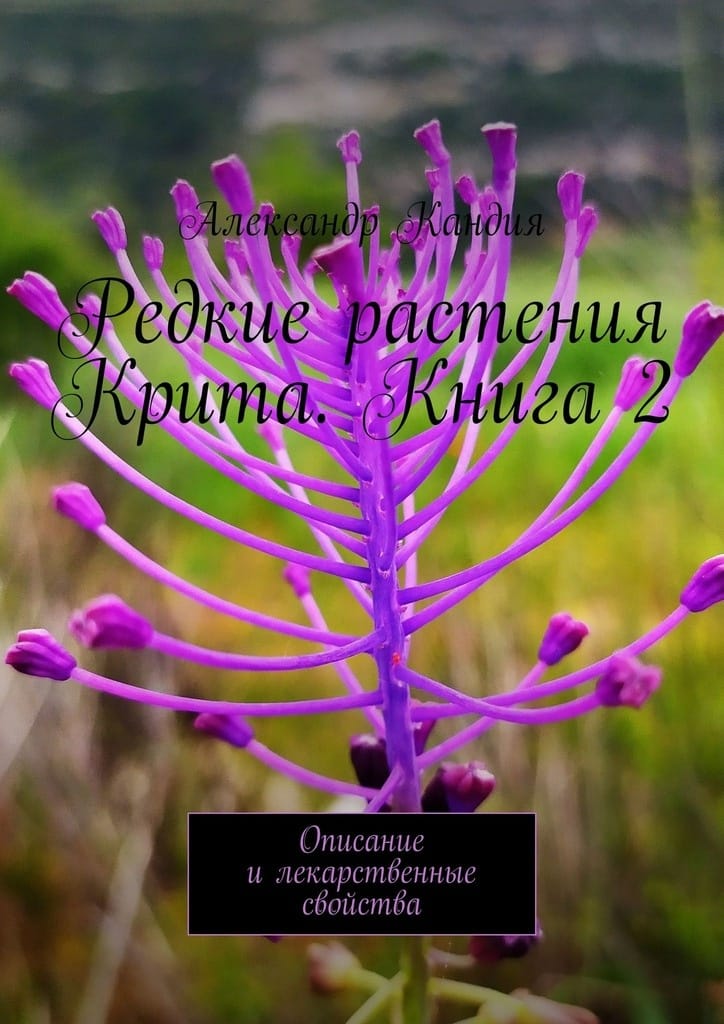 book2