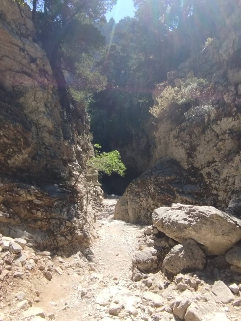 rocks